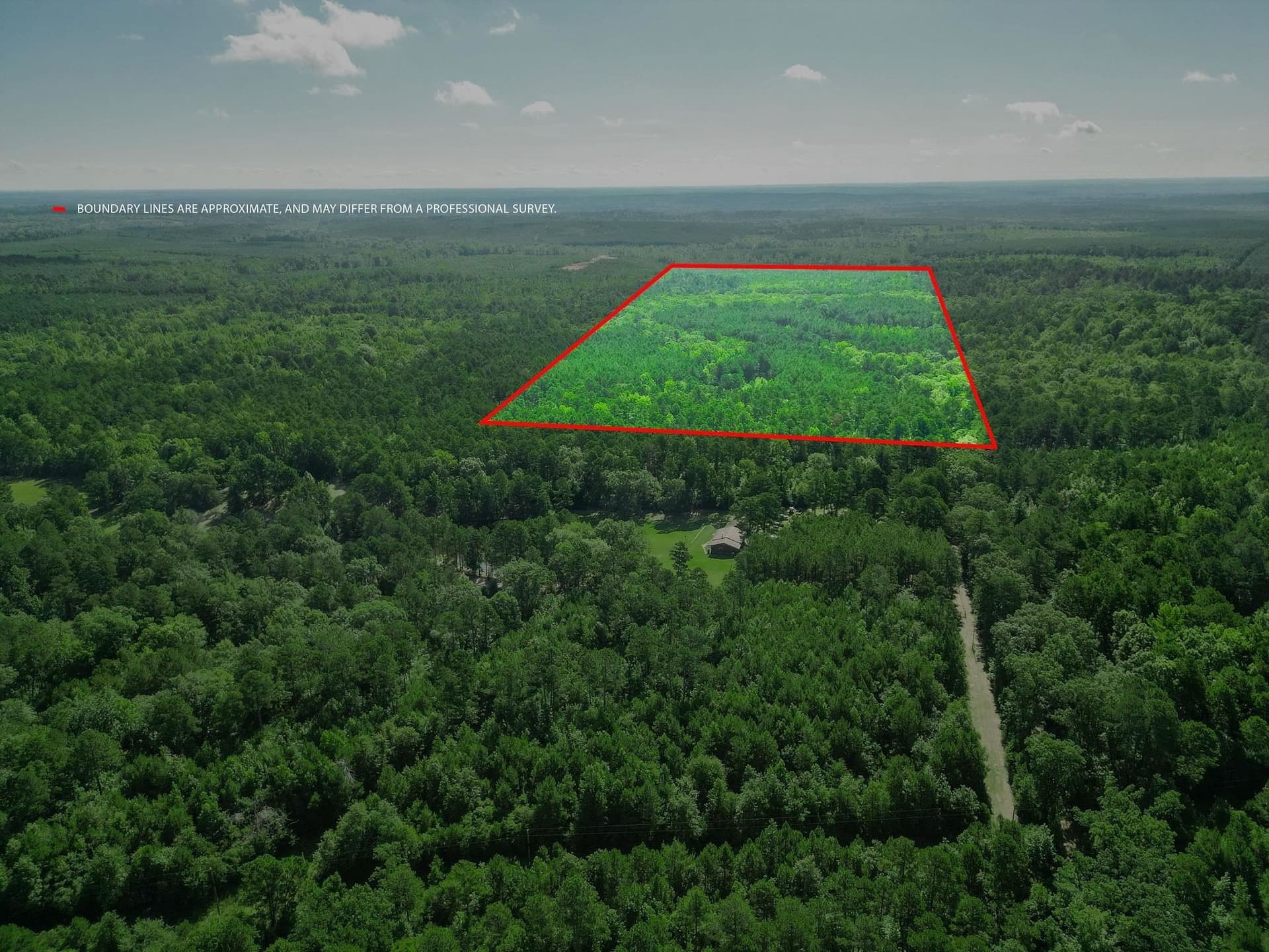 49.4 acres in Marion County - photo 15