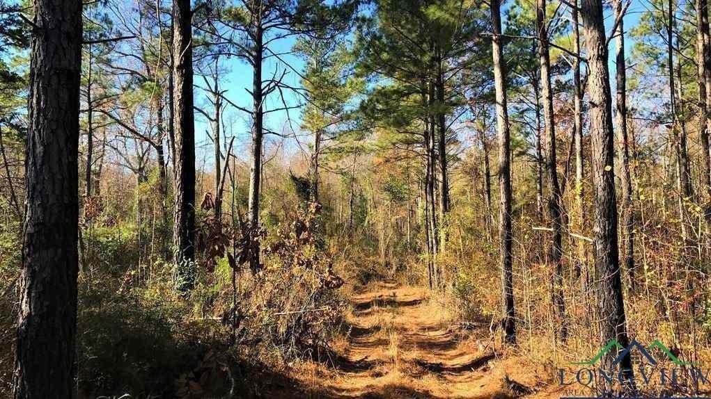 49.4 acres in Marion County - photo 7