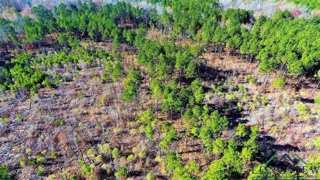 49.4 acres in Marion County - photo 8
