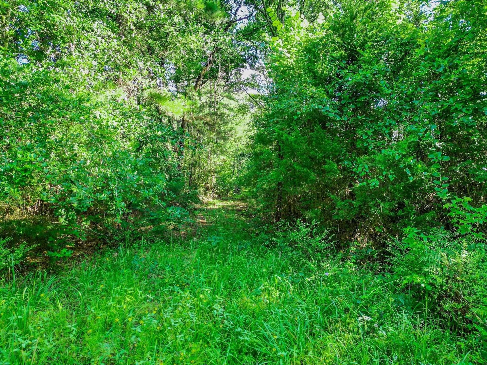 49.4 acres in Marion County featured view
