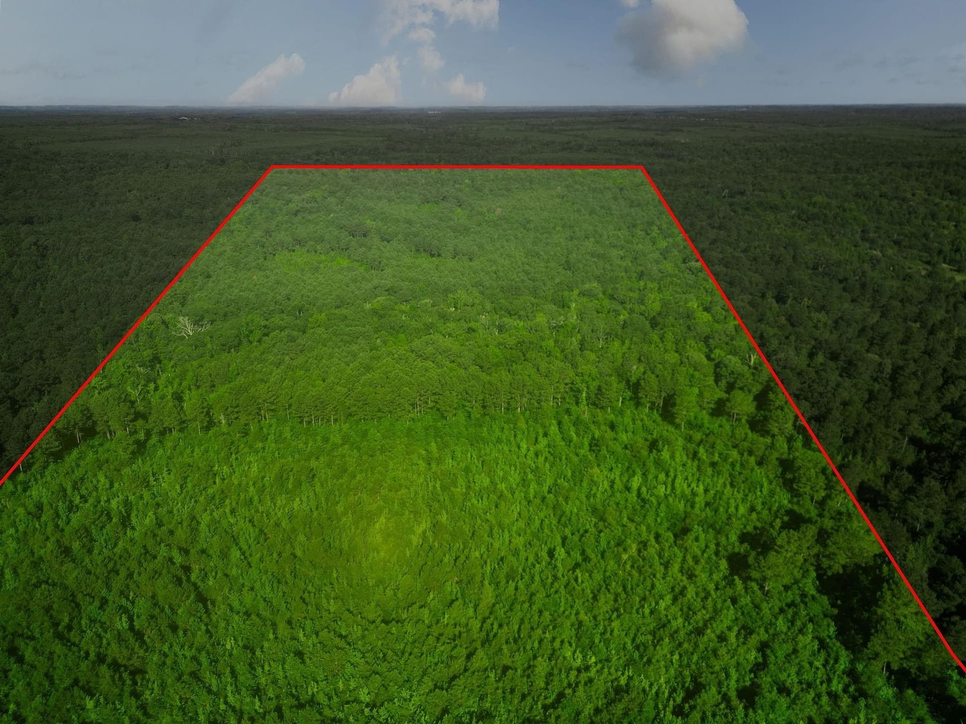49.4 acres in Marion County - photo 14