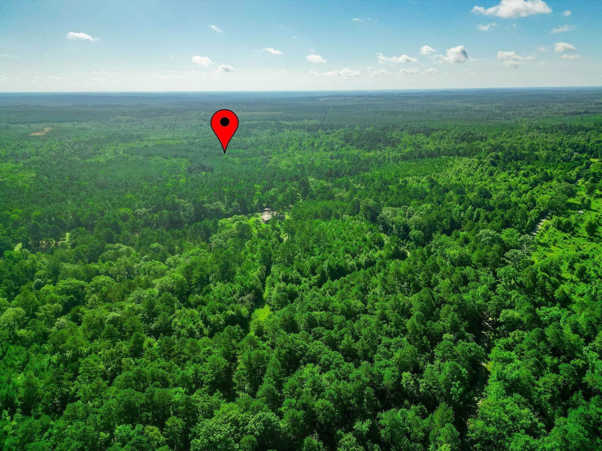 49.4 acres in Marion County - photo 11