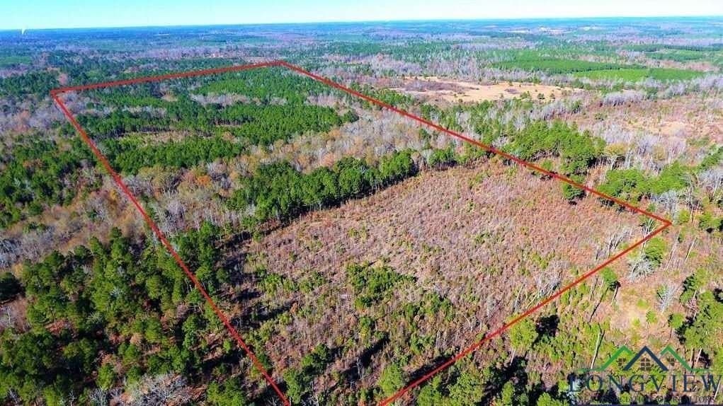 49.4 acres in Marion County
