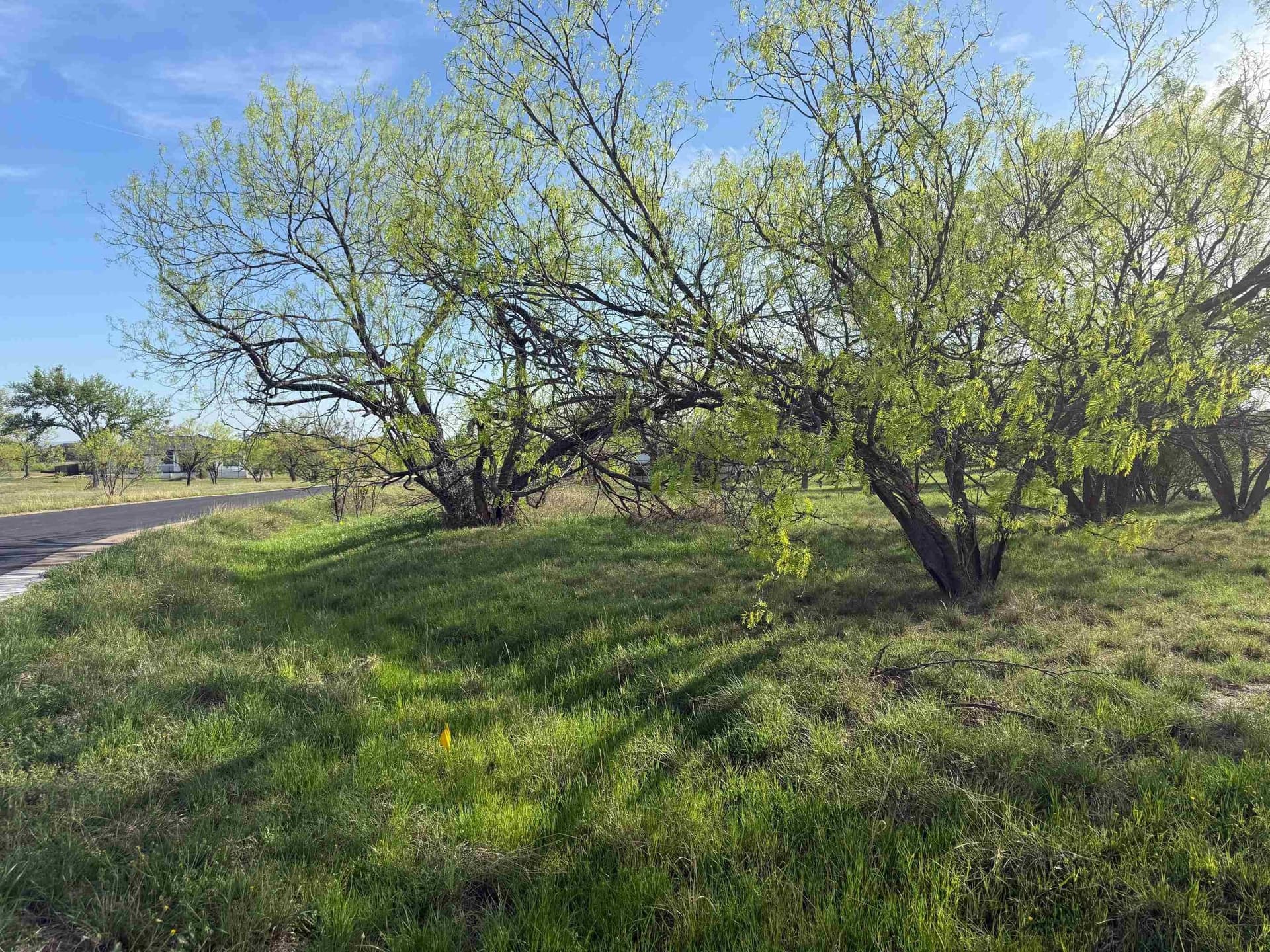 0.16 acres in Llano County gallery image 3