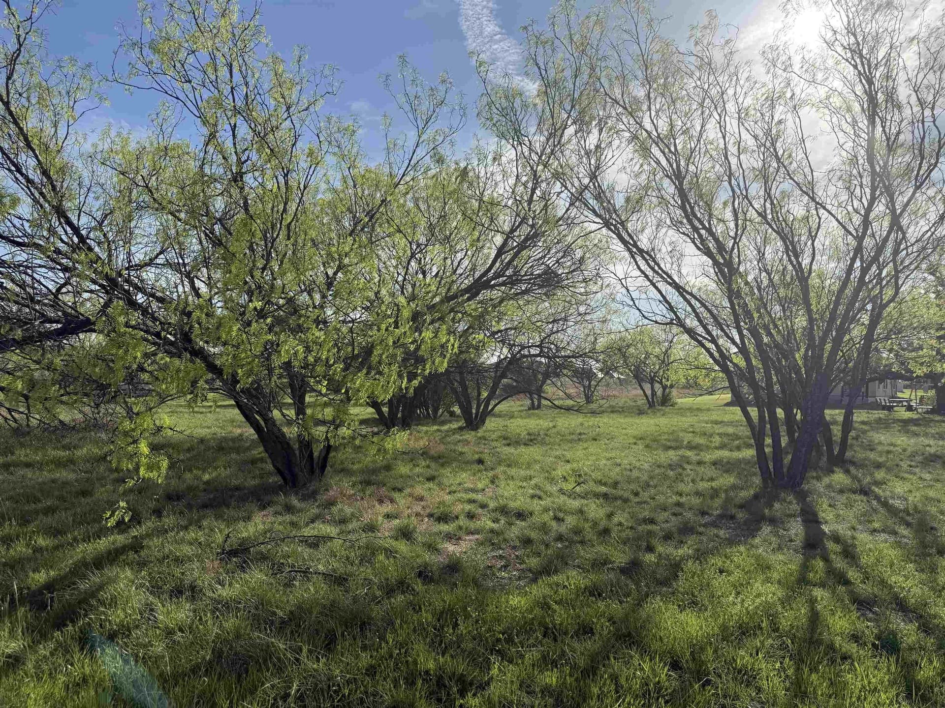 0.16 acres in Llano County gallery image 4