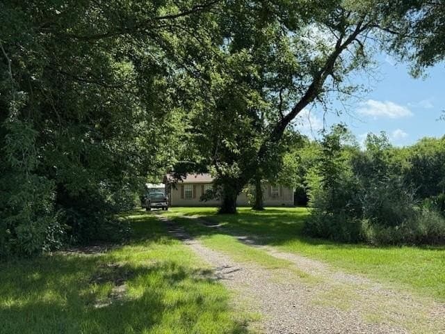 10 acres in Red River (TX) County gallery image 2