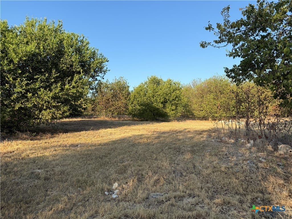 16.03 acres in Bell County - photo 22