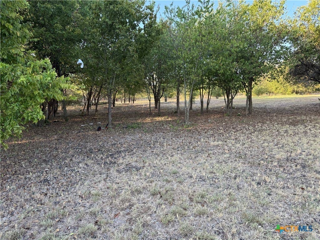 16.03 acres in Bell County - photo 18