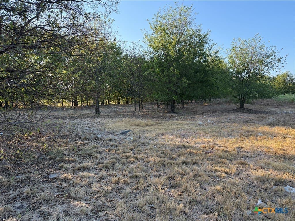 16.03 acres in Bell County - photo 21