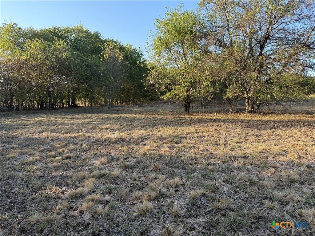 16.03 acres in Bell County - photo 20