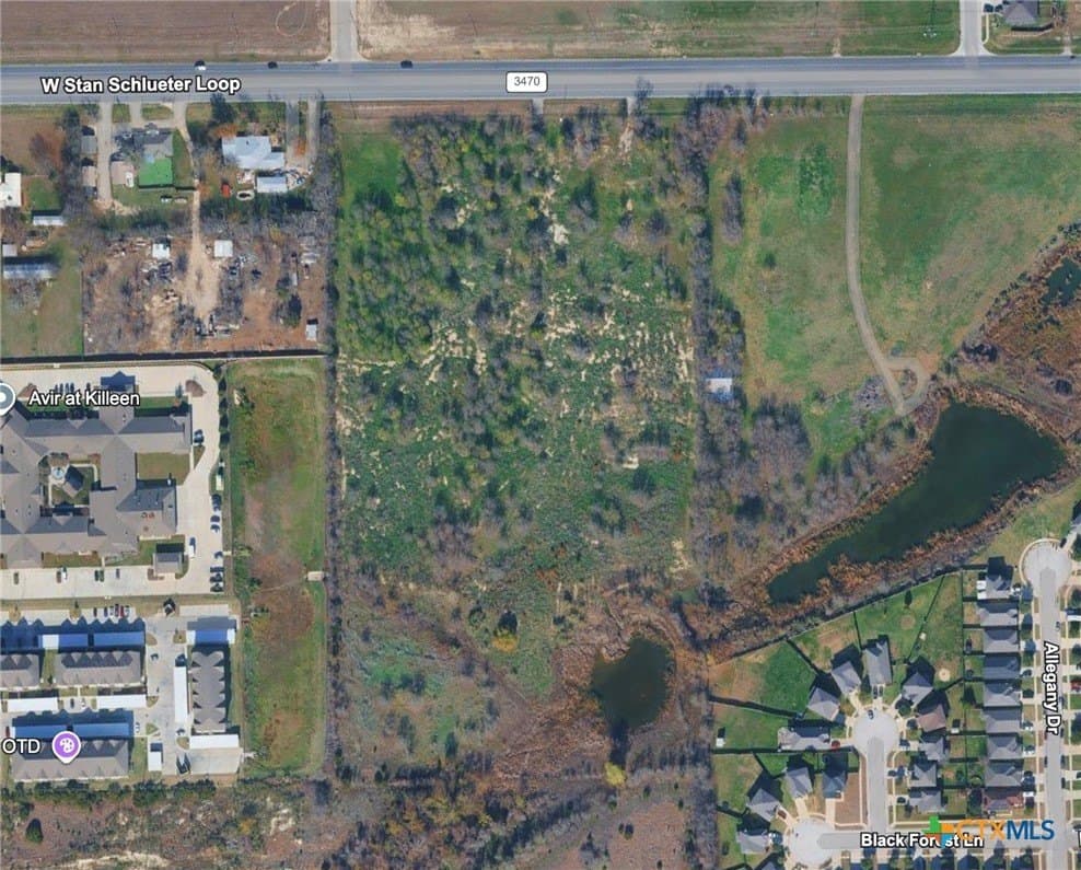 16.03 acres in Bell County - photo 6