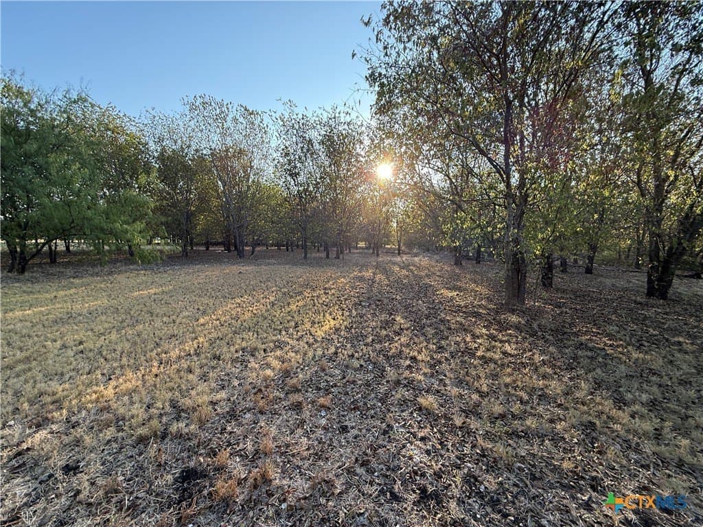 16.03 acres in Bell County - photo 8