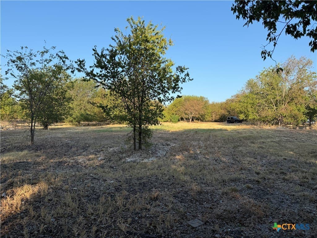 16.03 acres in Bell County - photo 19