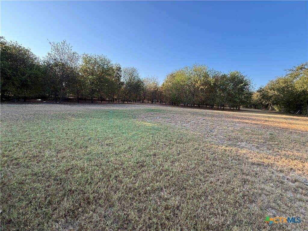 16.03 acres in Bell County - photo 9