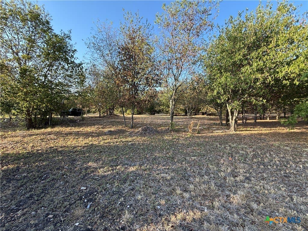 16.03 acres in Bell County - photo 11