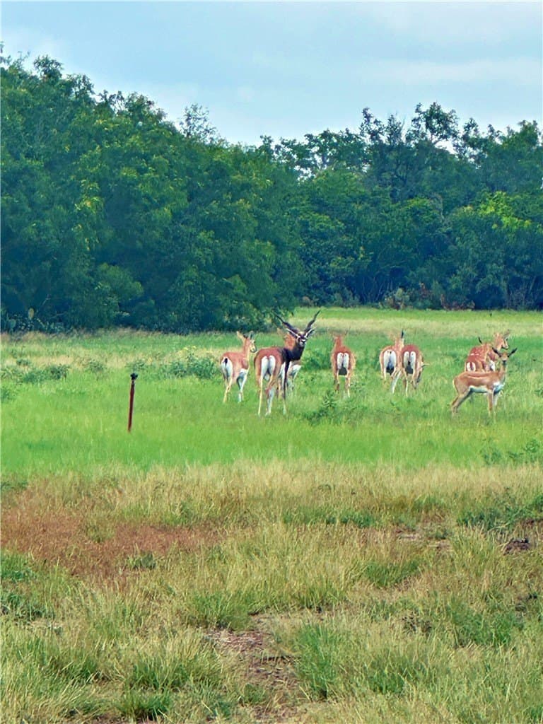 4.89 acres in Atascosa County - photo 27