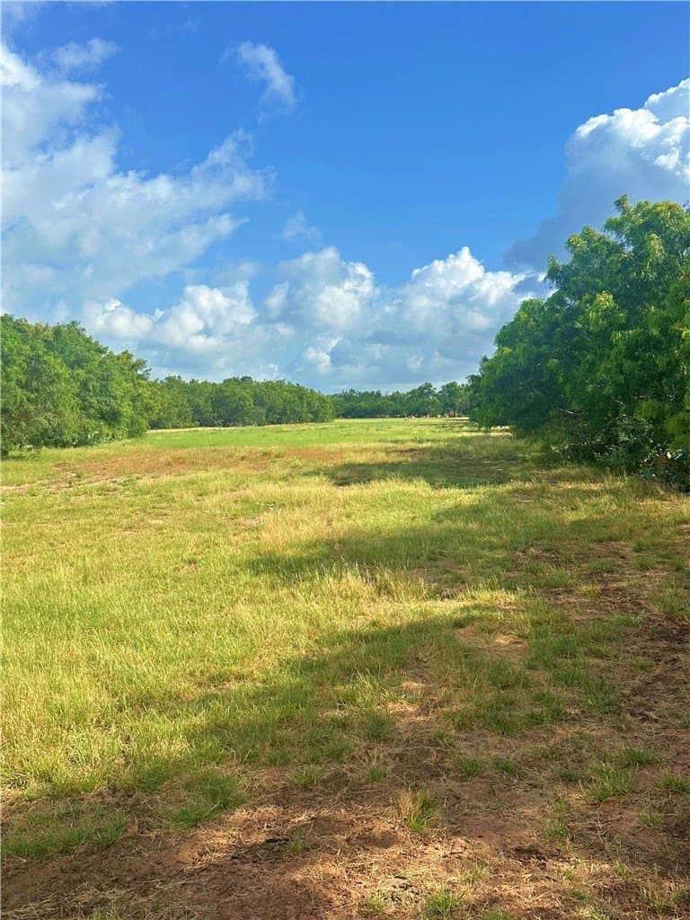 4.89 acres in Atascosa County - photo 34