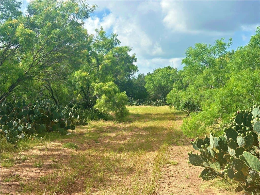4.89 acres in Atascosa County - photo 37