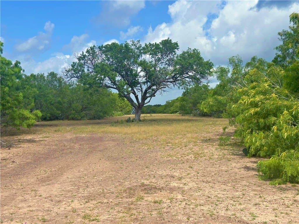 4.89 acres in Atascosa County - photo 39