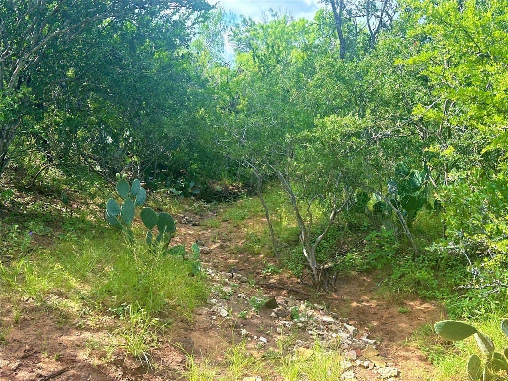 4.89 acres in Atascosa County - photo 36
