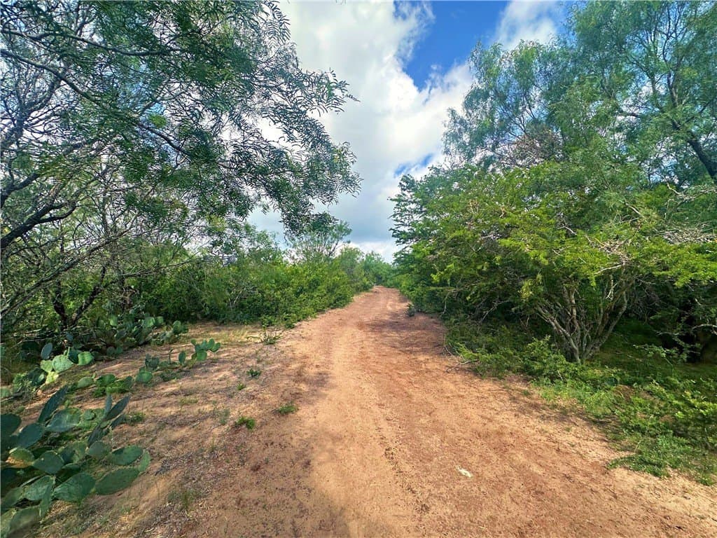 4.89 acres in Atascosa County - photo 33