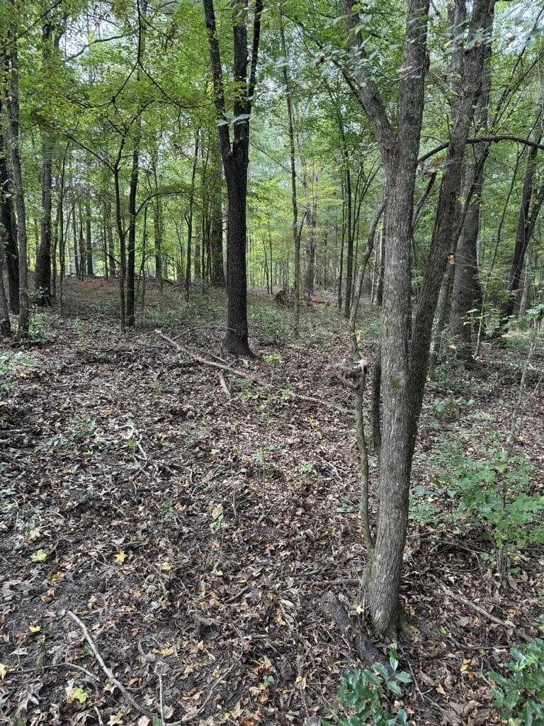 95.82 acres in Texas County - photo 4