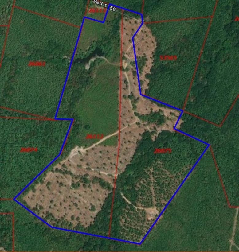 95.82 acres in Texas County