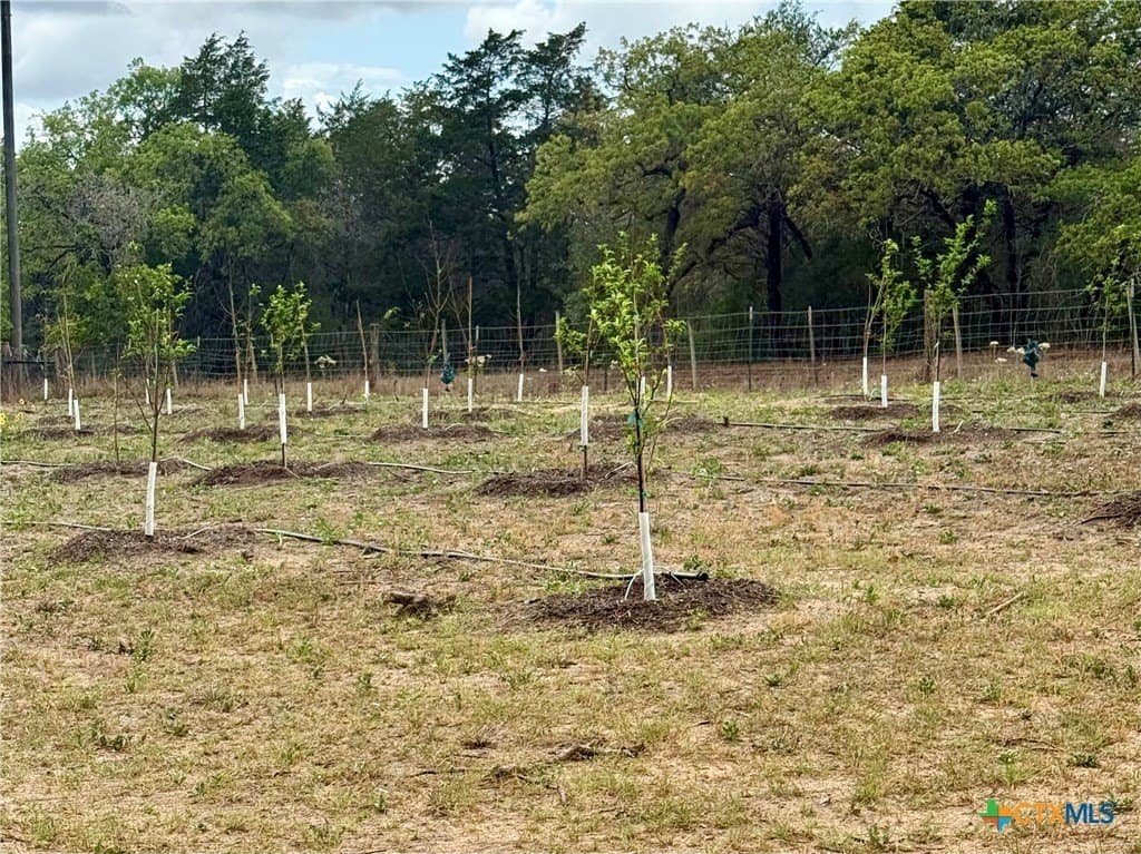 11.14 acres in Caldwell County gallery image 3