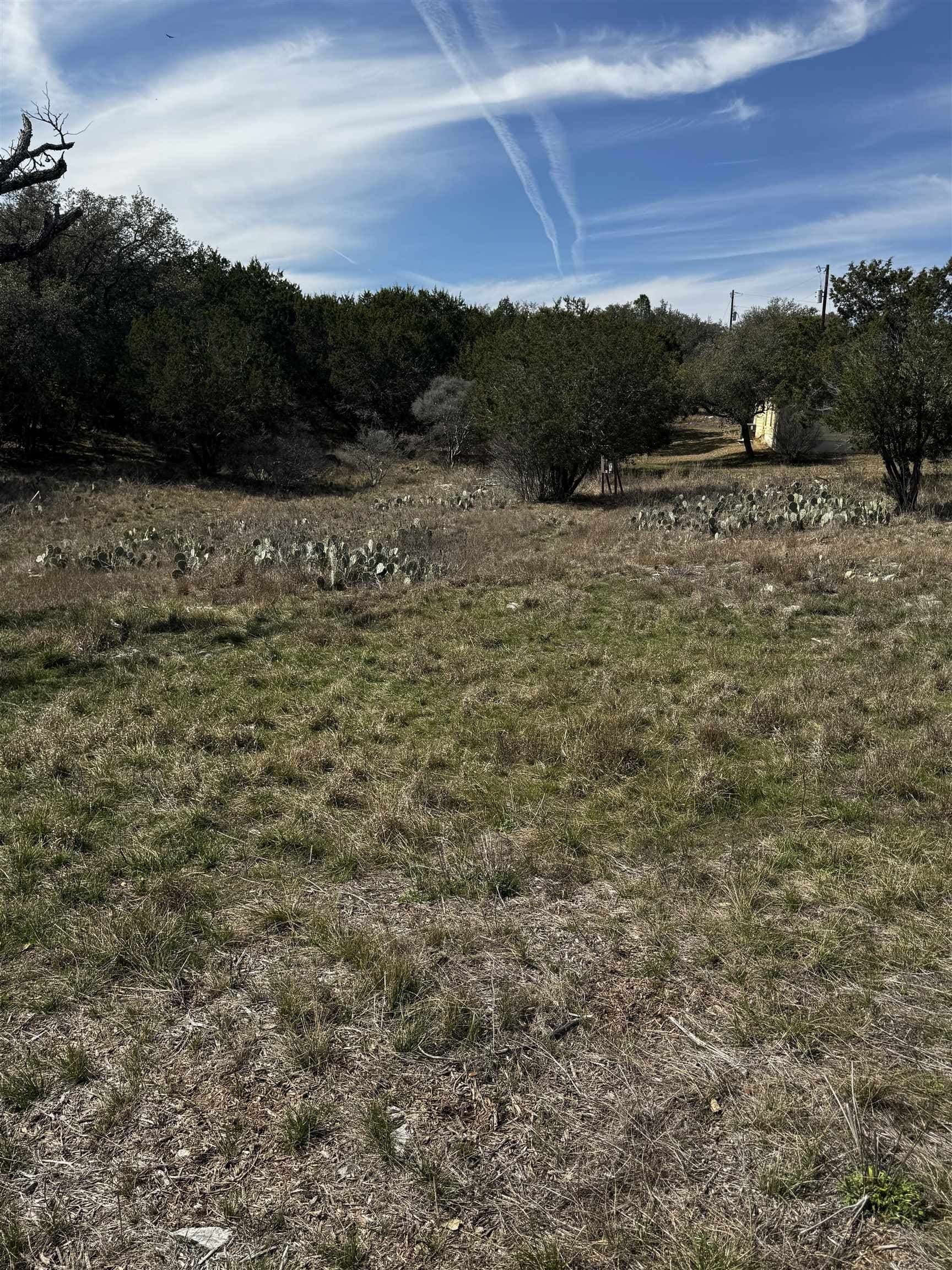 0.29 acres in Burnet County gallery image 2