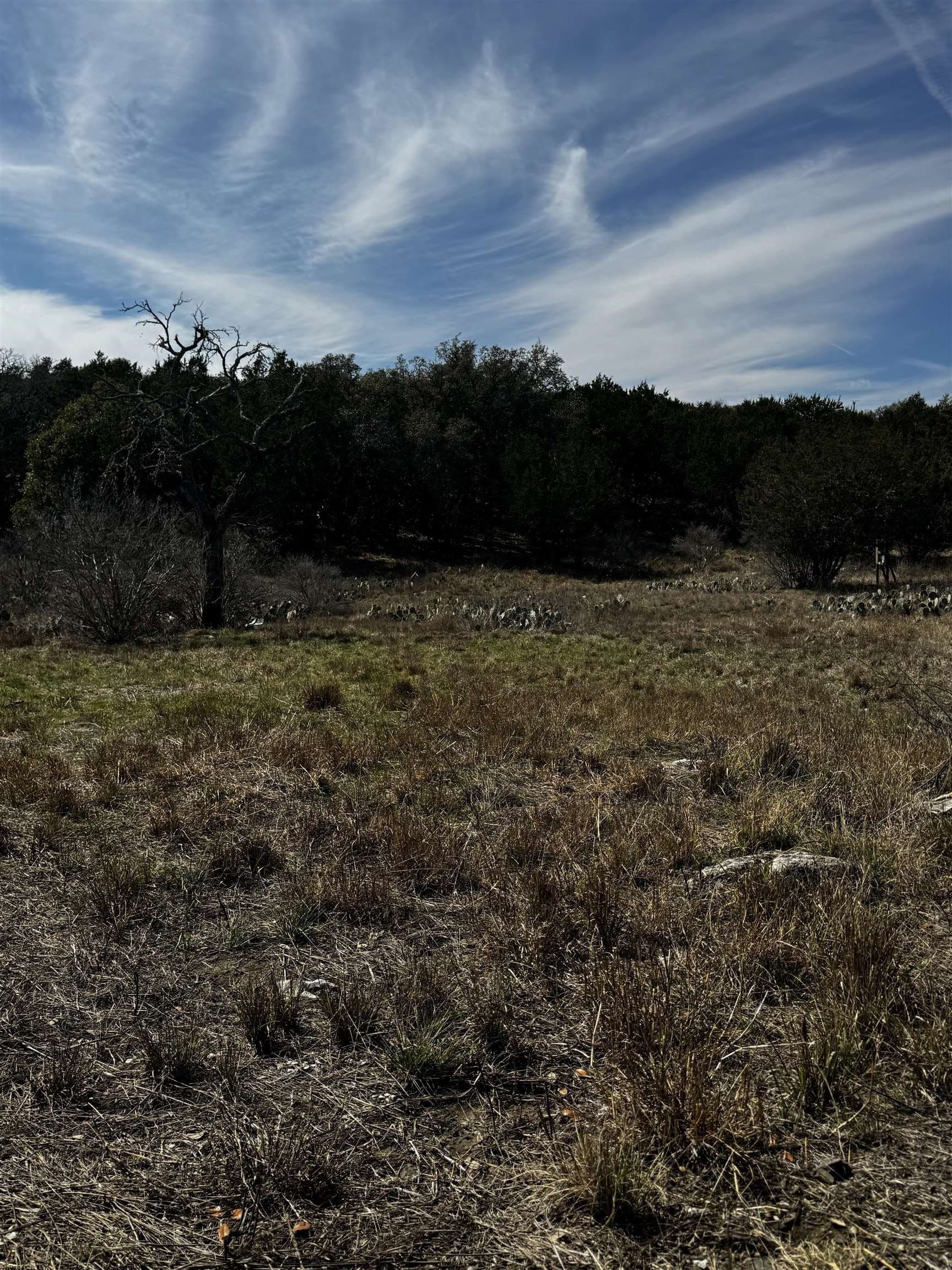 0.29 acres in Burnet County gallery image 4