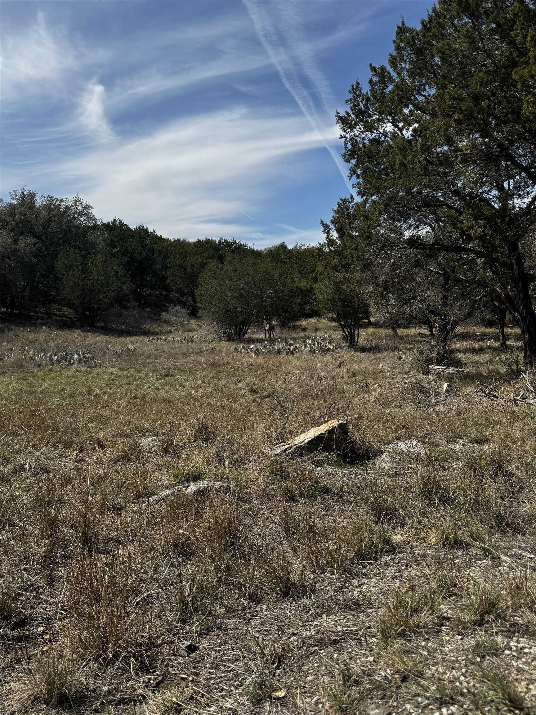 0.29 acres in Burnet County gallery image 3