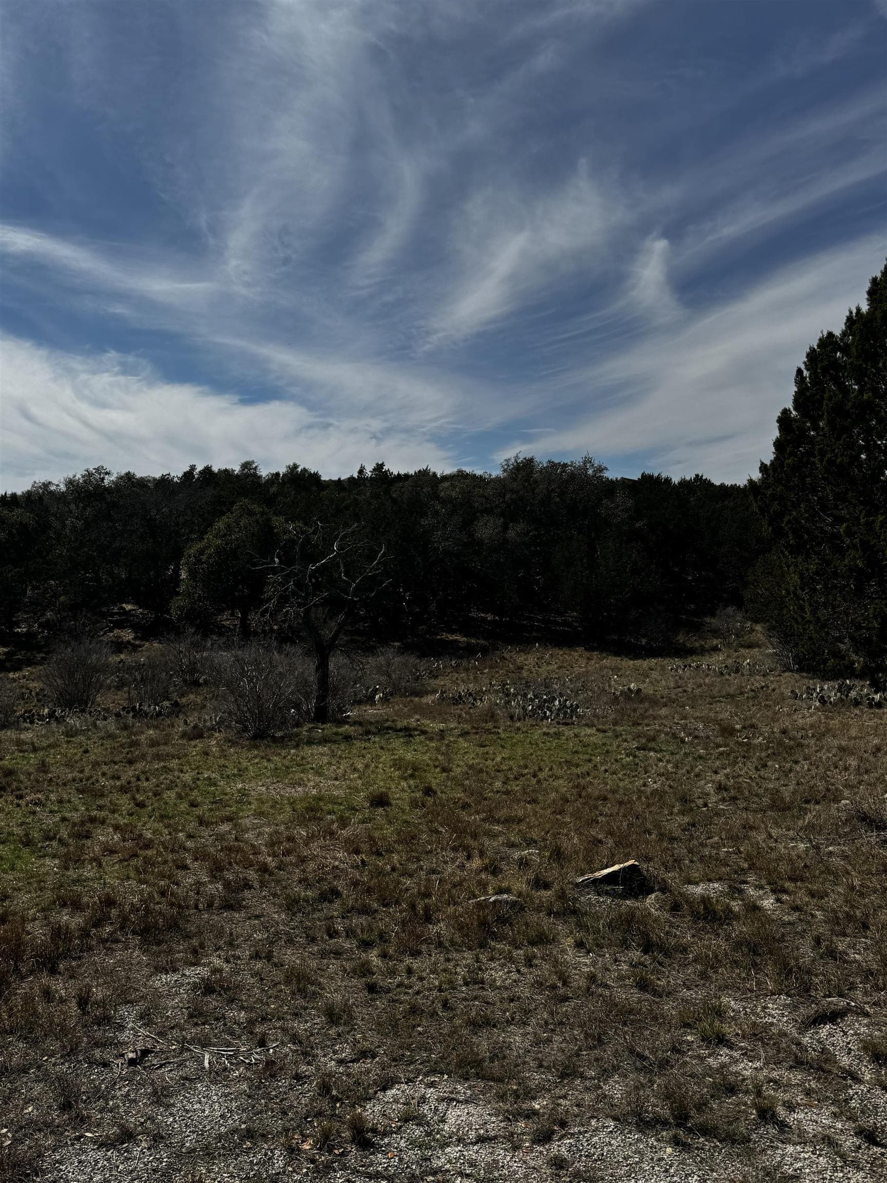 0.29 acres in Burnet County - photo 6