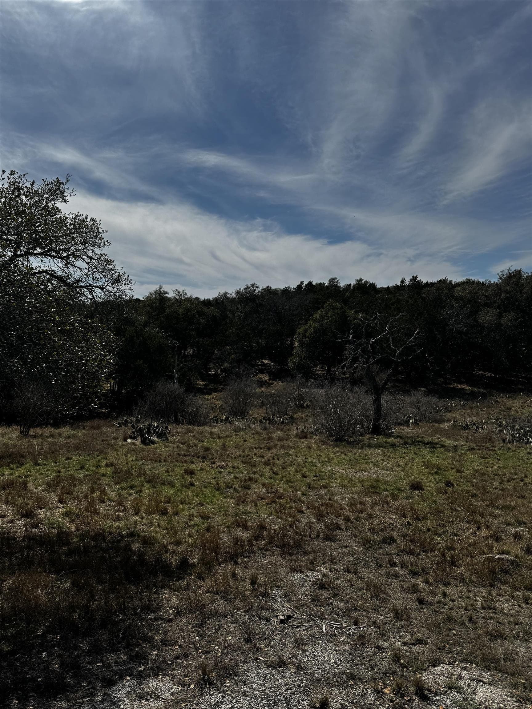 0.29 acres in Burnet County featured view