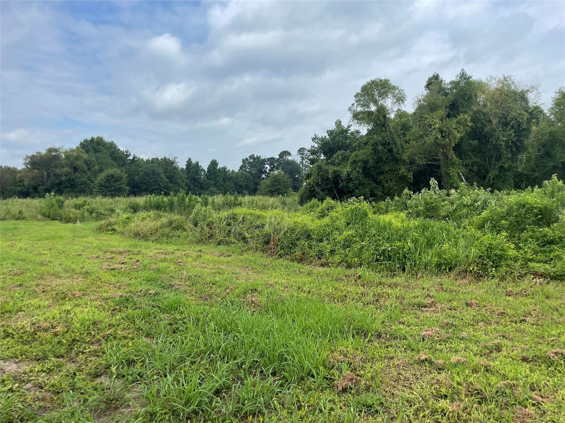 6 acres in Franklin (TX) County - photo 6