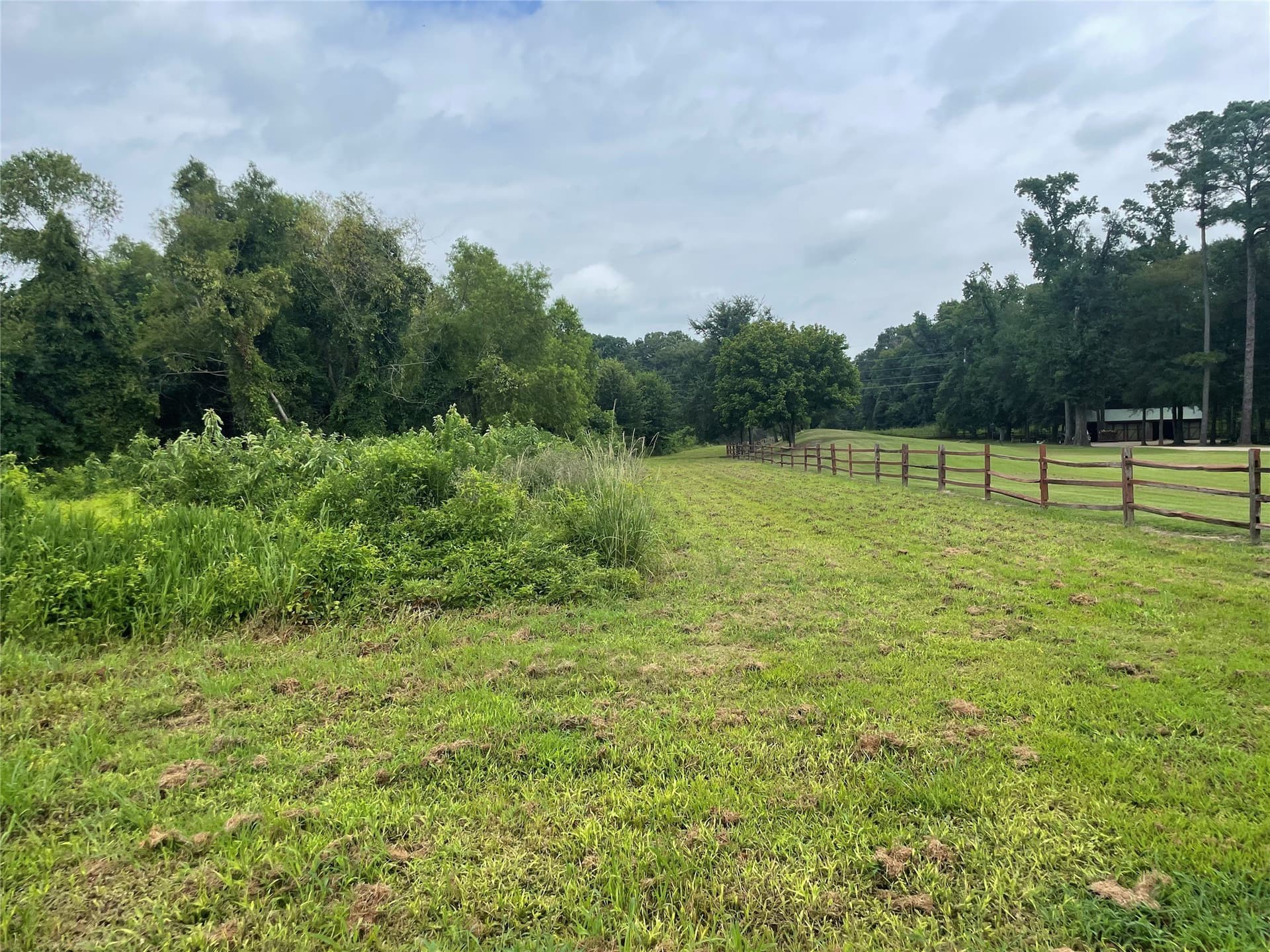 6 acres in Franklin (TX) County gallery image 4
