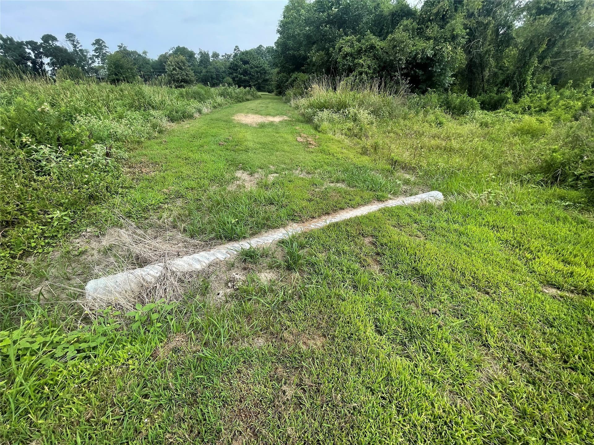 6 acres in Franklin (TX) County featured view