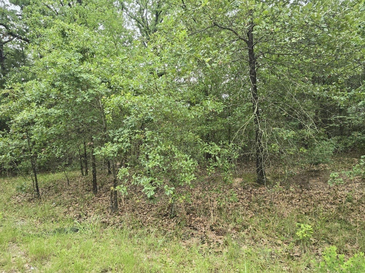0.07 acres in Henderson County - photo 7