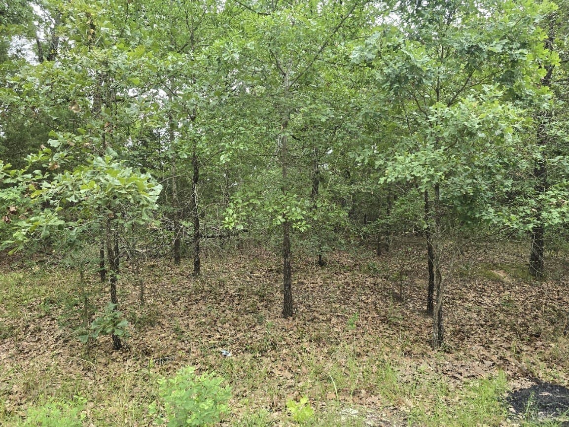 0.07 acres in Henderson County featured view