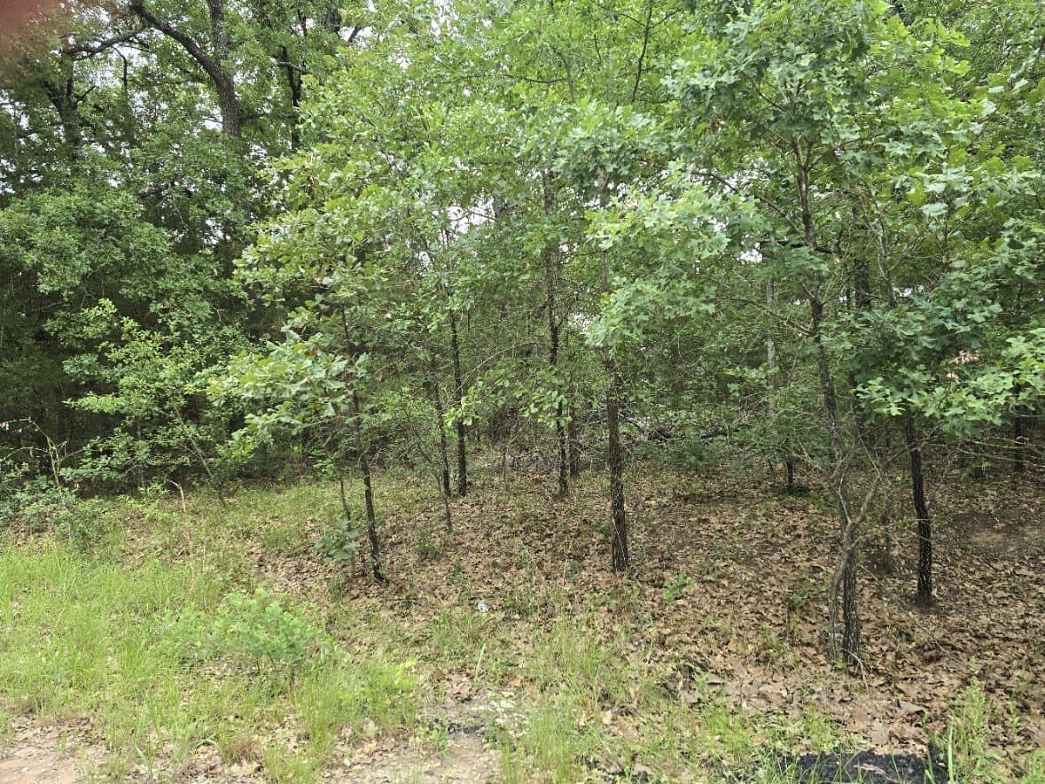 0.07 acres in Henderson County - photo 6
