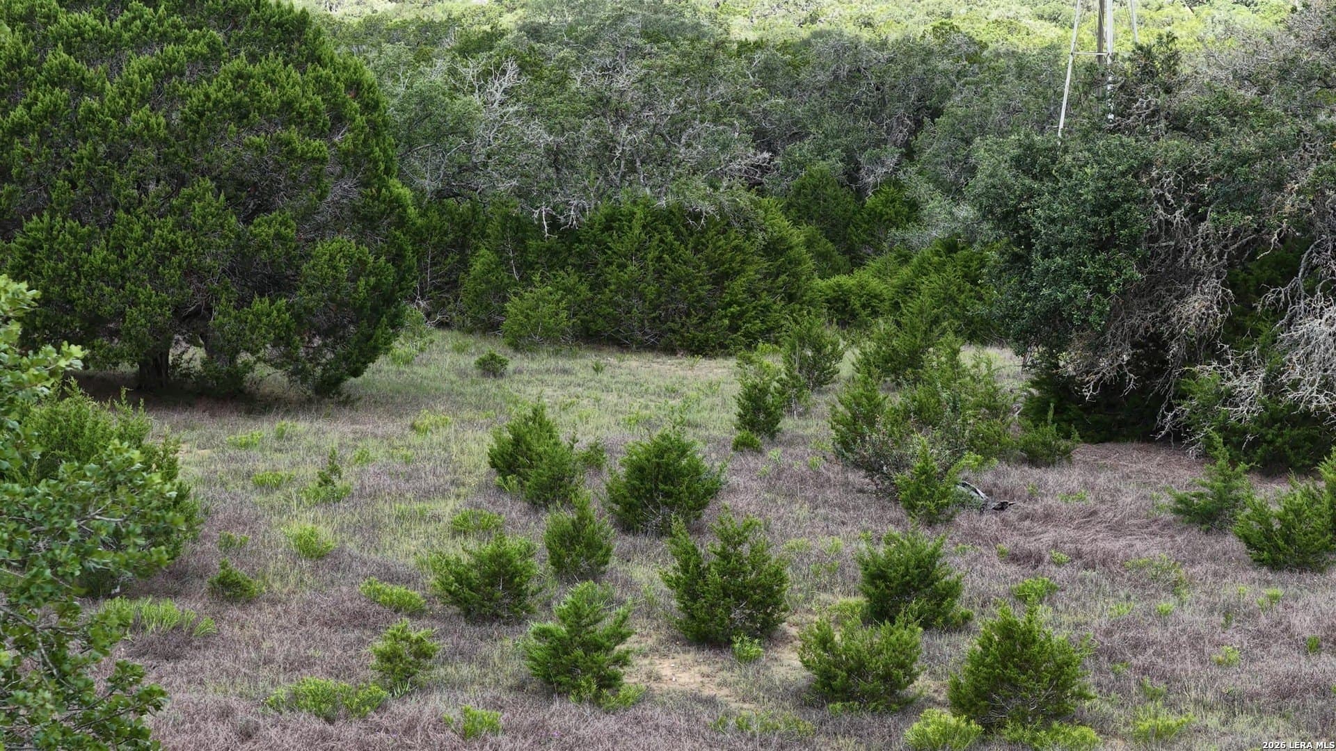 36.54 acres in Comal County - photo 42