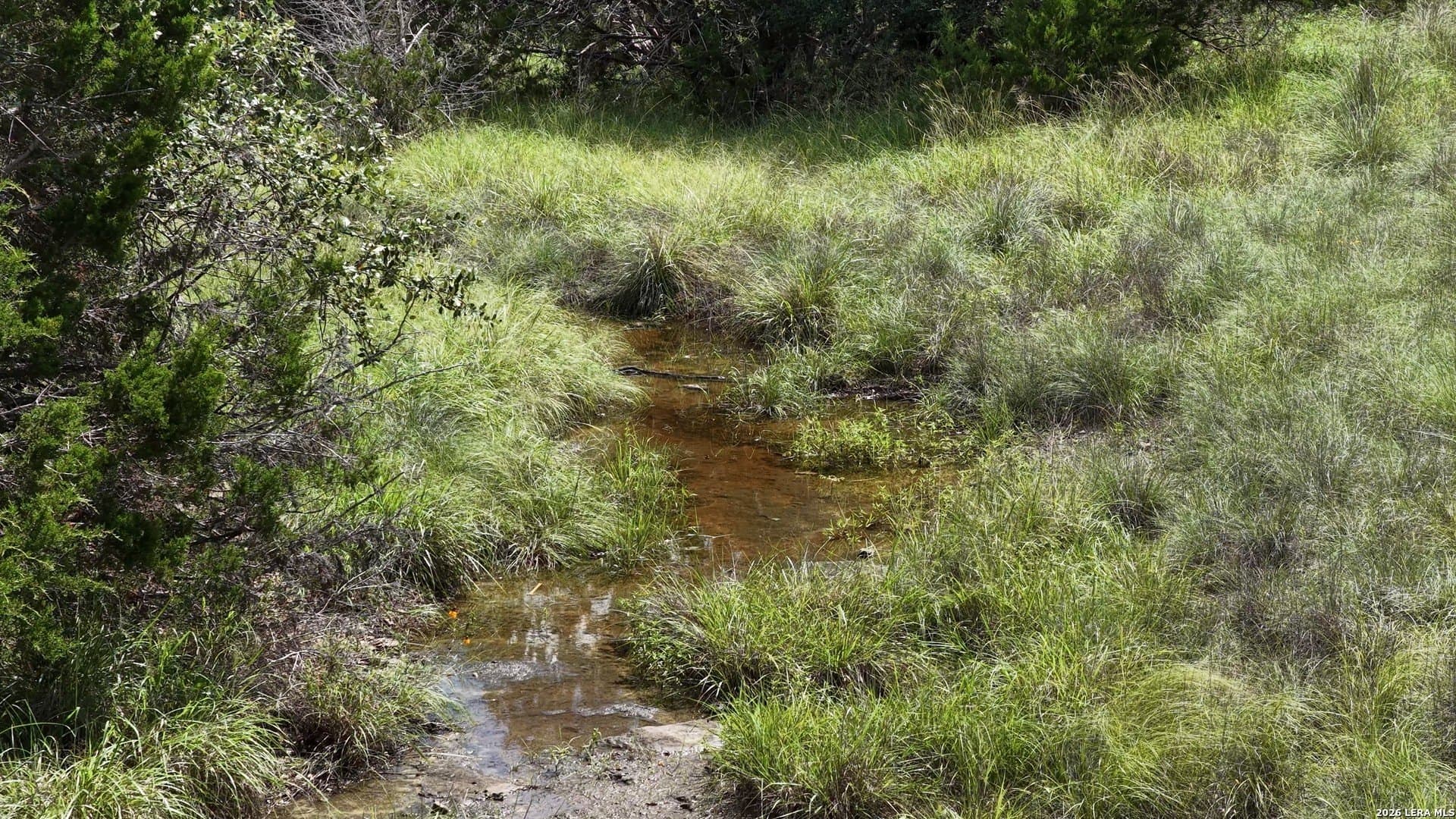 36.54 acres in Comal County - photo 43