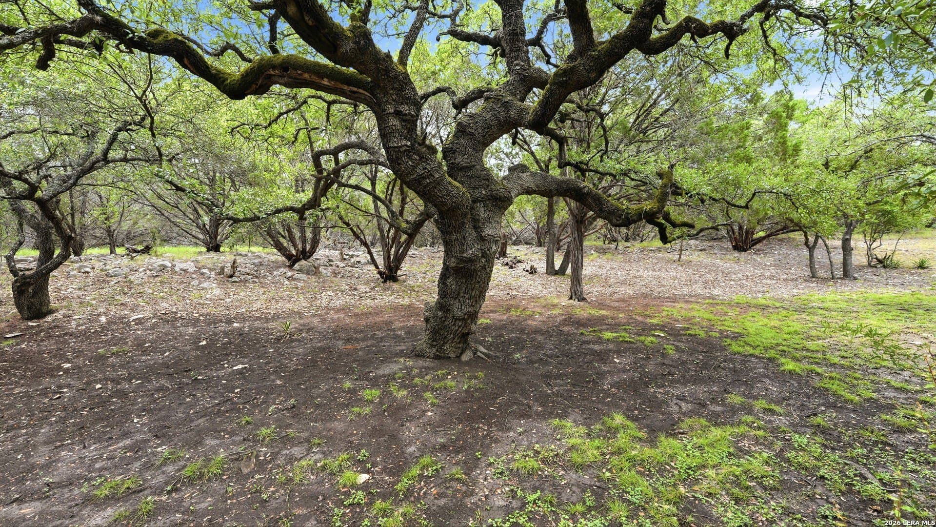 36.54 acres in Comal County - photo 49