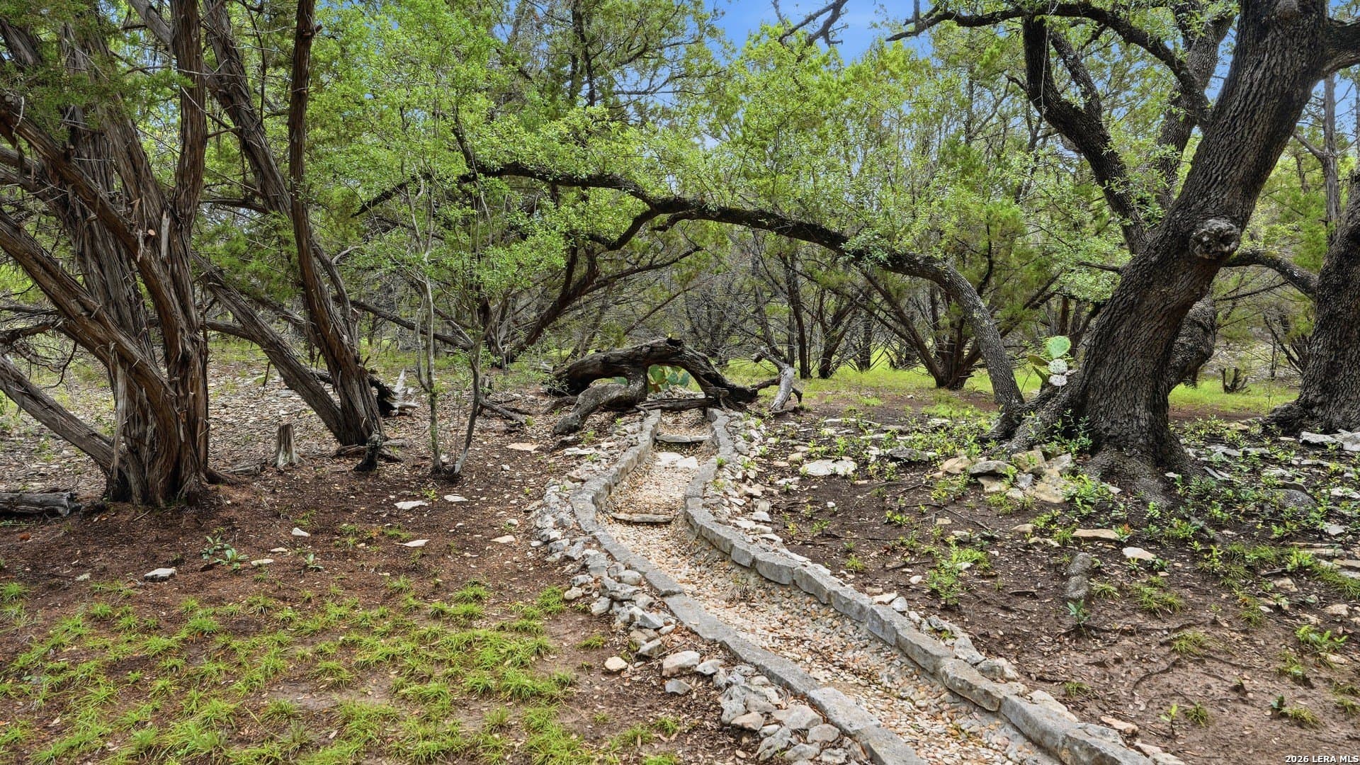36.54 acres in Comal County gallery image 4