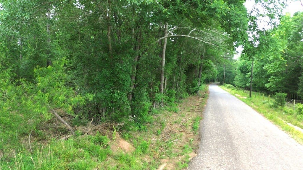 69.19 acres in Anderson County gallery image 3