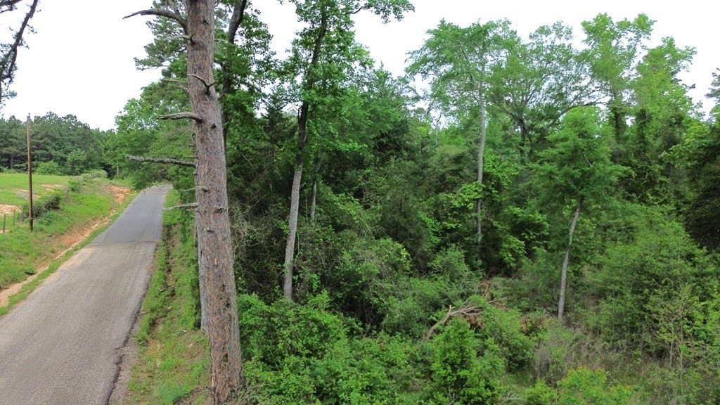 69.19 acres in Anderson County gallery image 4