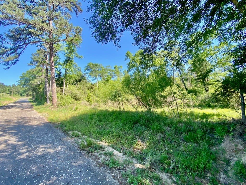 69.19 acres in Anderson County featured view