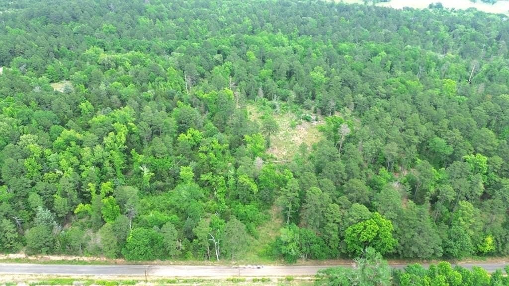 69.19 acres in Anderson County