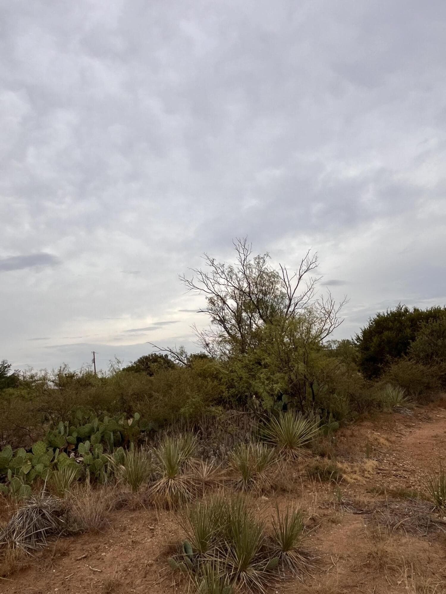 0.27 acres in Crosby County