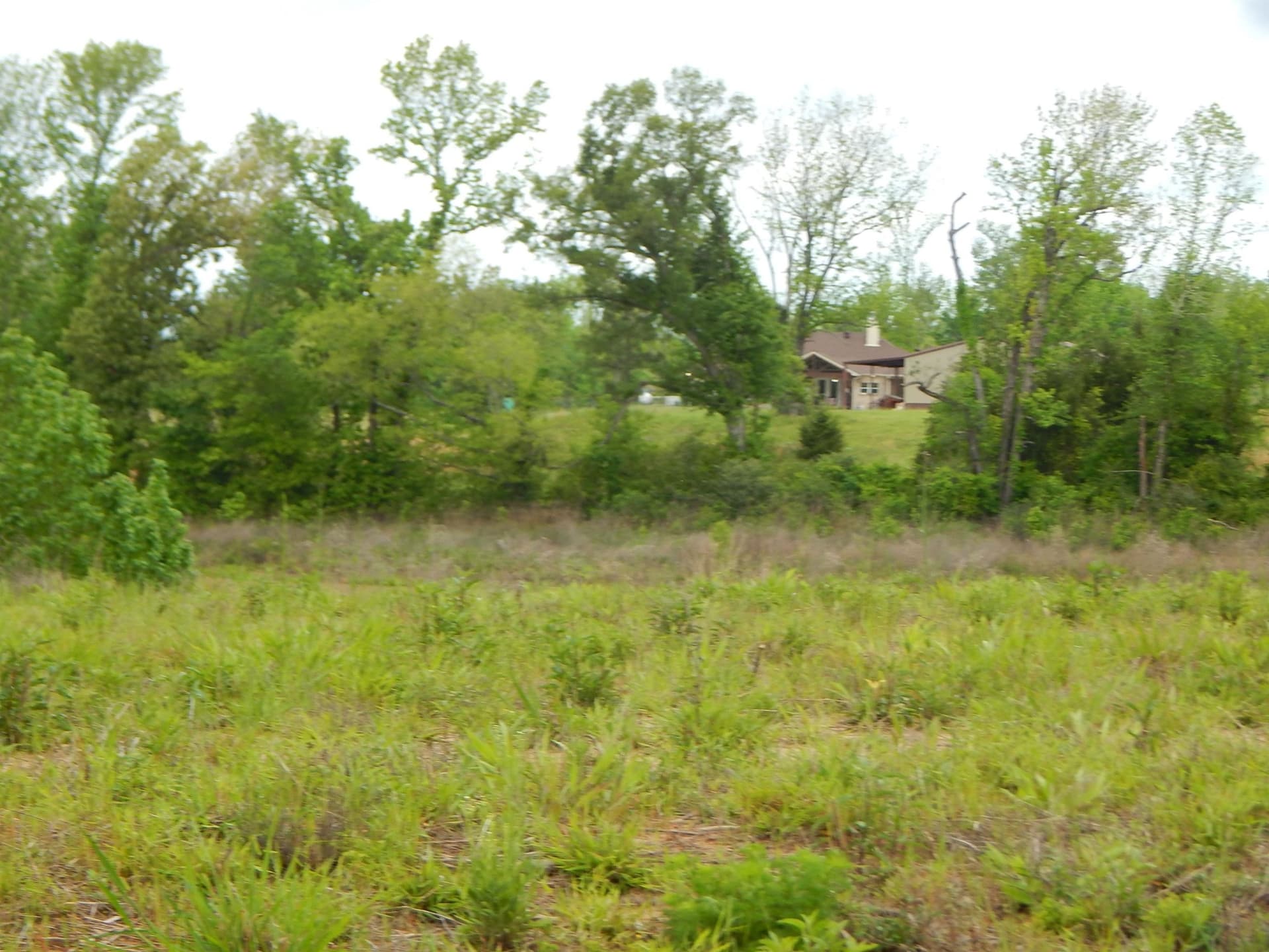 2.44 acres in Texas County gallery image 2