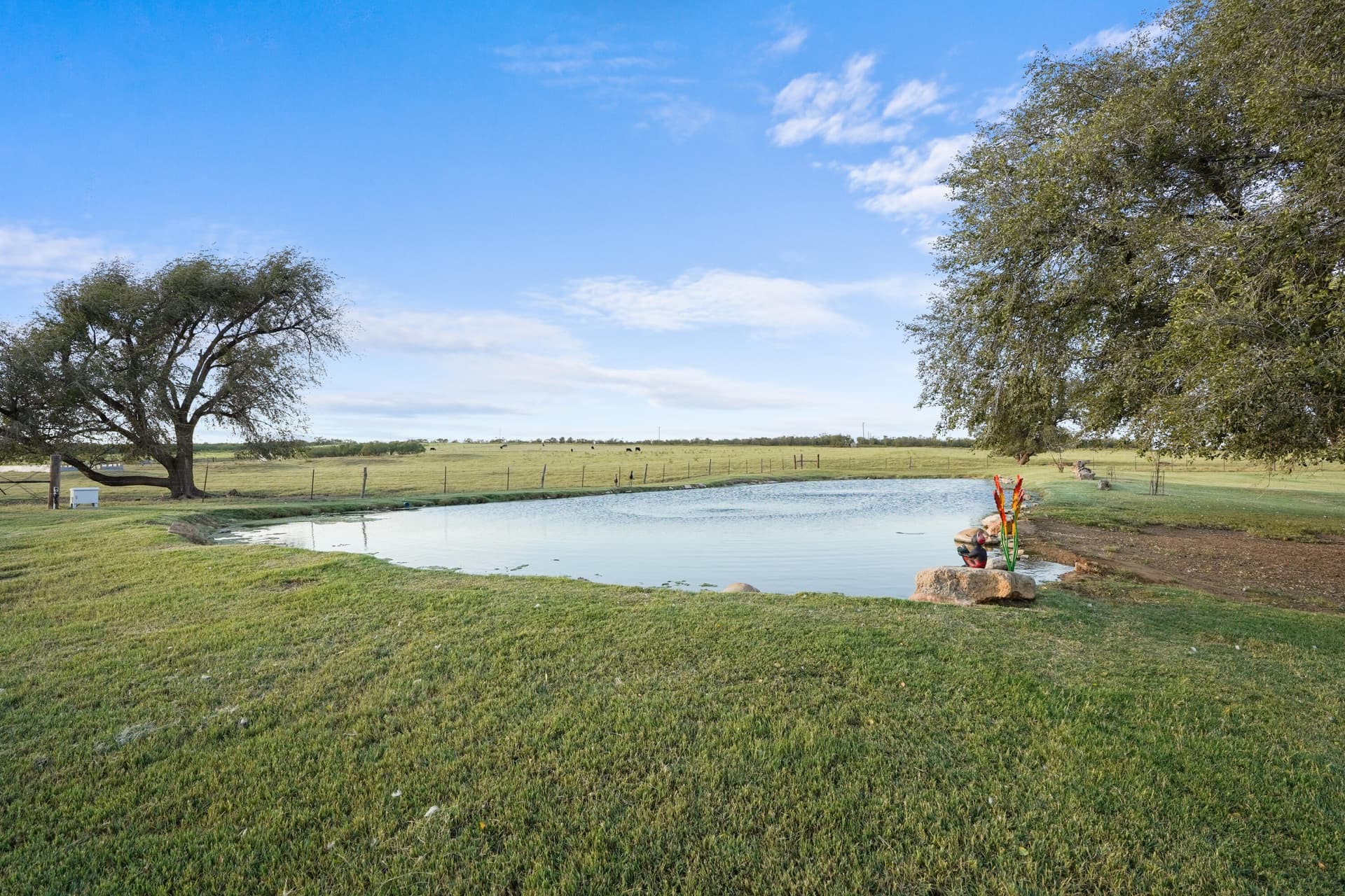 150 acres in Dickens County - photo 6